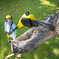 Best Lawn Irrigation Installation and Maintenance  in El Sobrante, CA